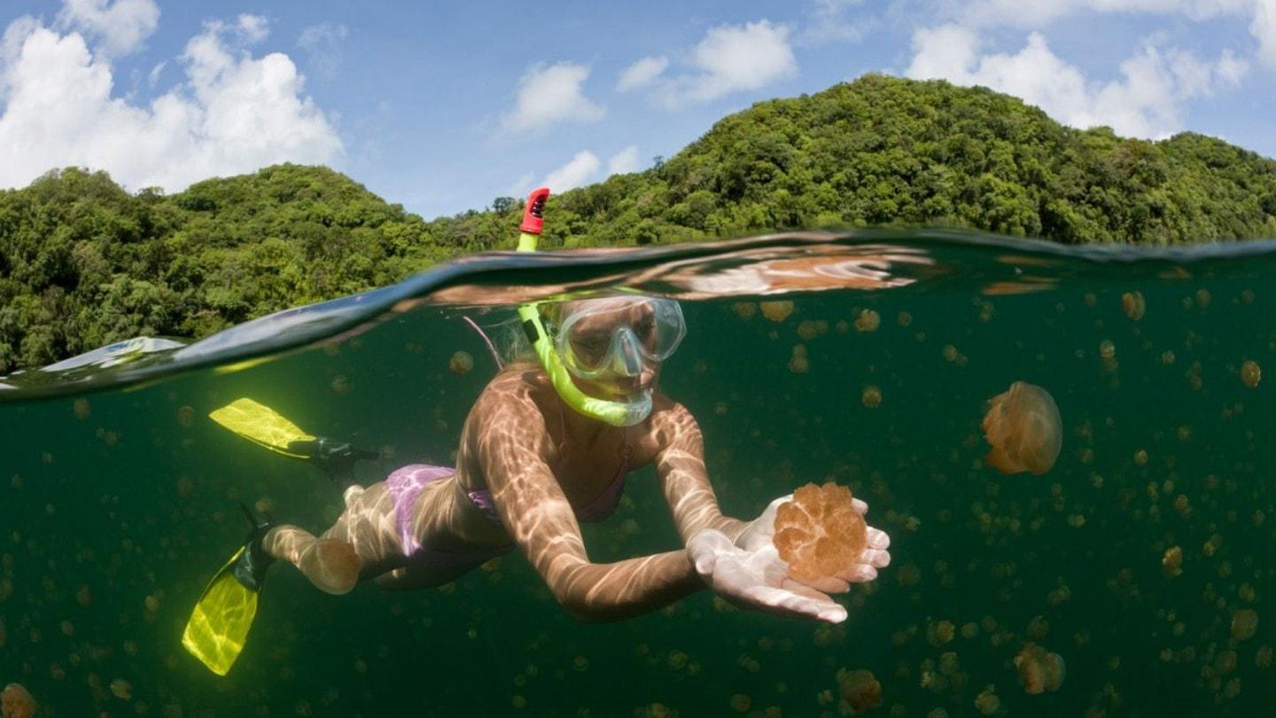 Jellyfish Lake in Palau