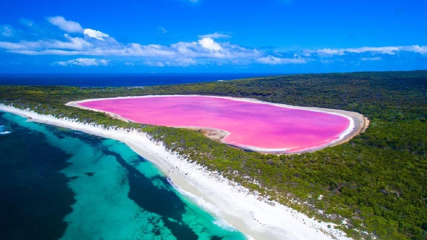 Lake Hillier is clearly pink Lake Hillier is clearly pink