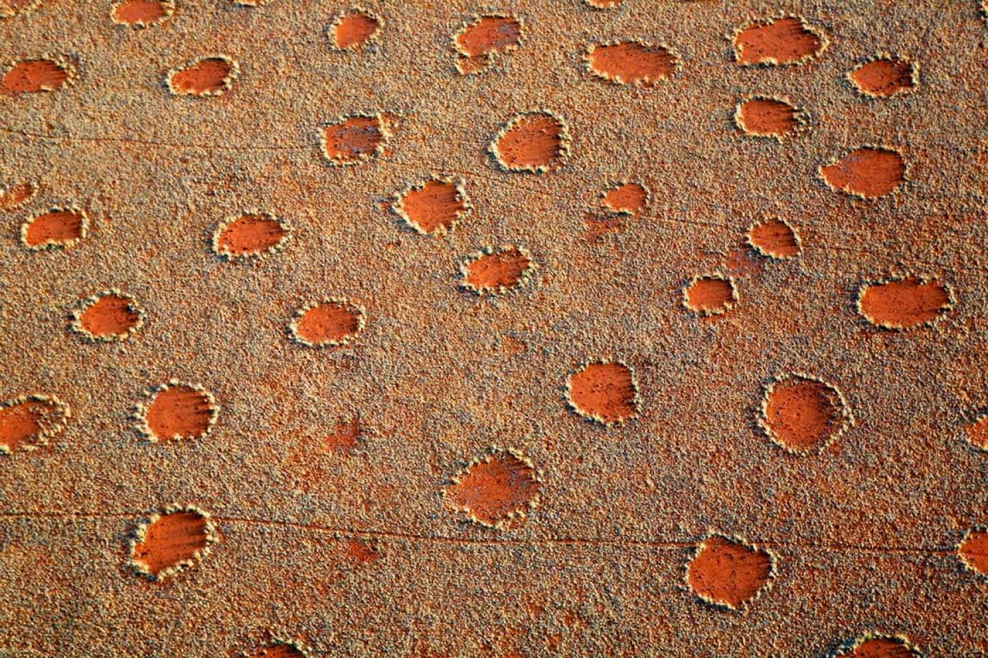 Bizarre Fairy Circles in the Namibian desert