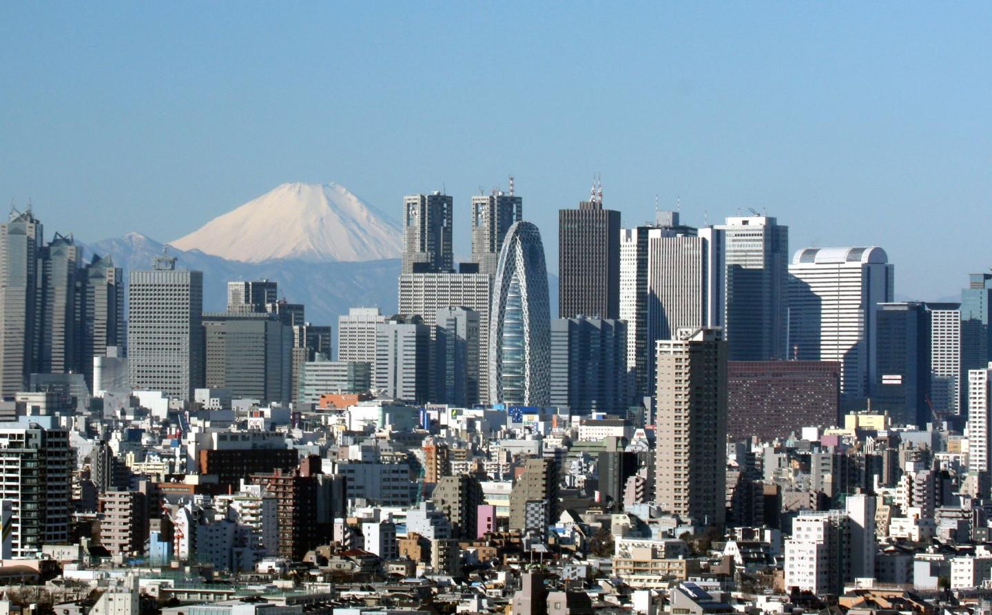 aerial daylight view Tokyo