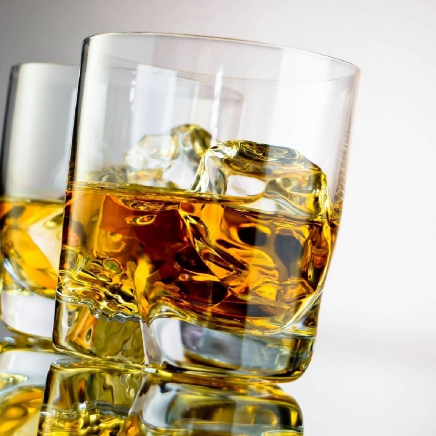 Unfortunately for some, beers won Unfortunately for some, beers won