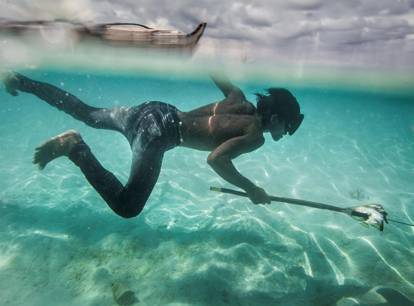 Bajau diving genetic evolution