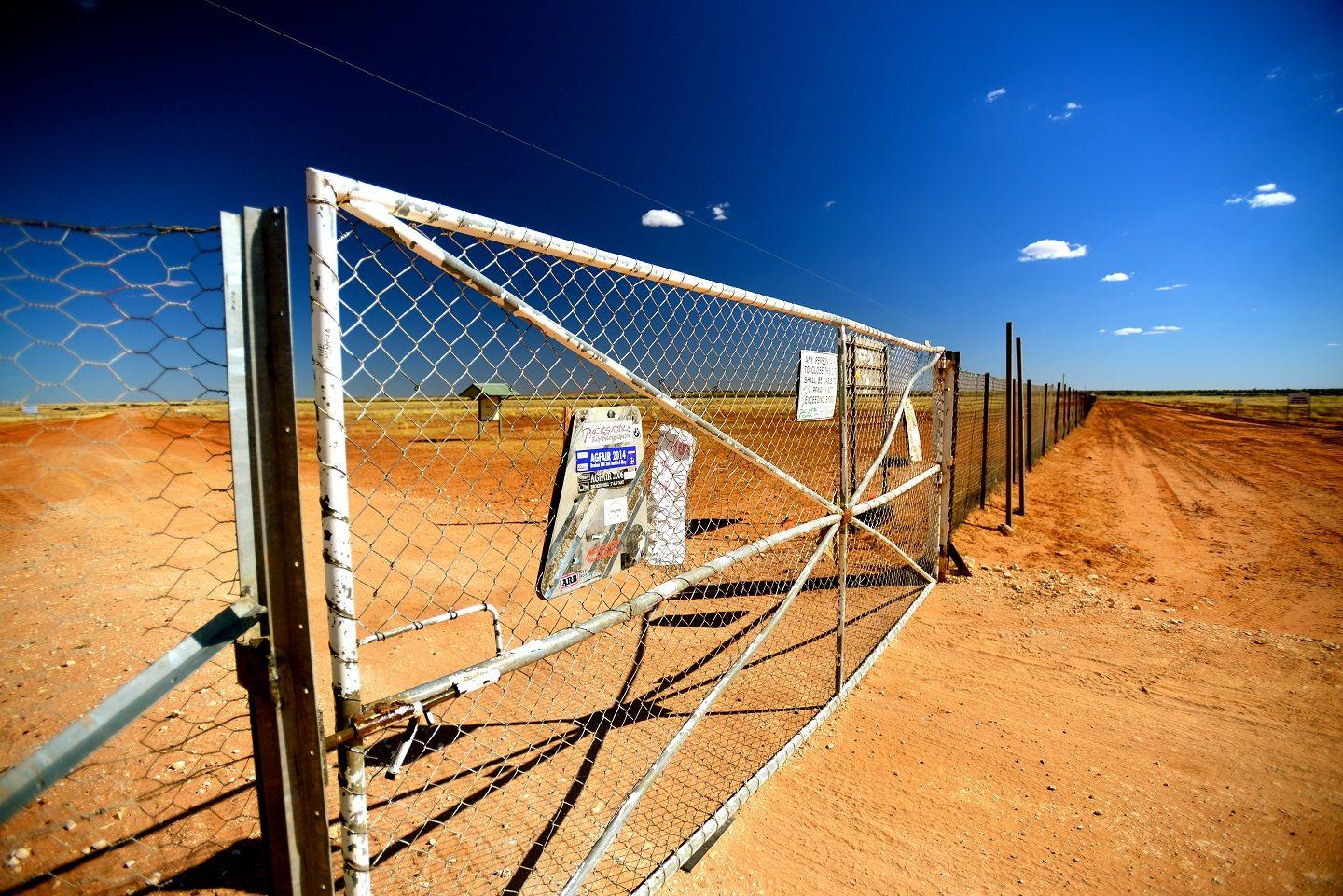 Dingo Fence