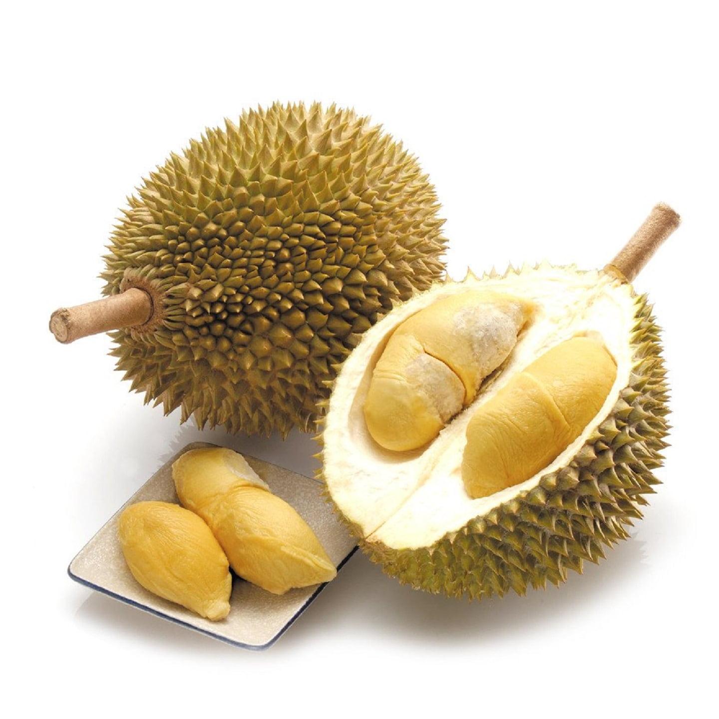 Durian, the world
