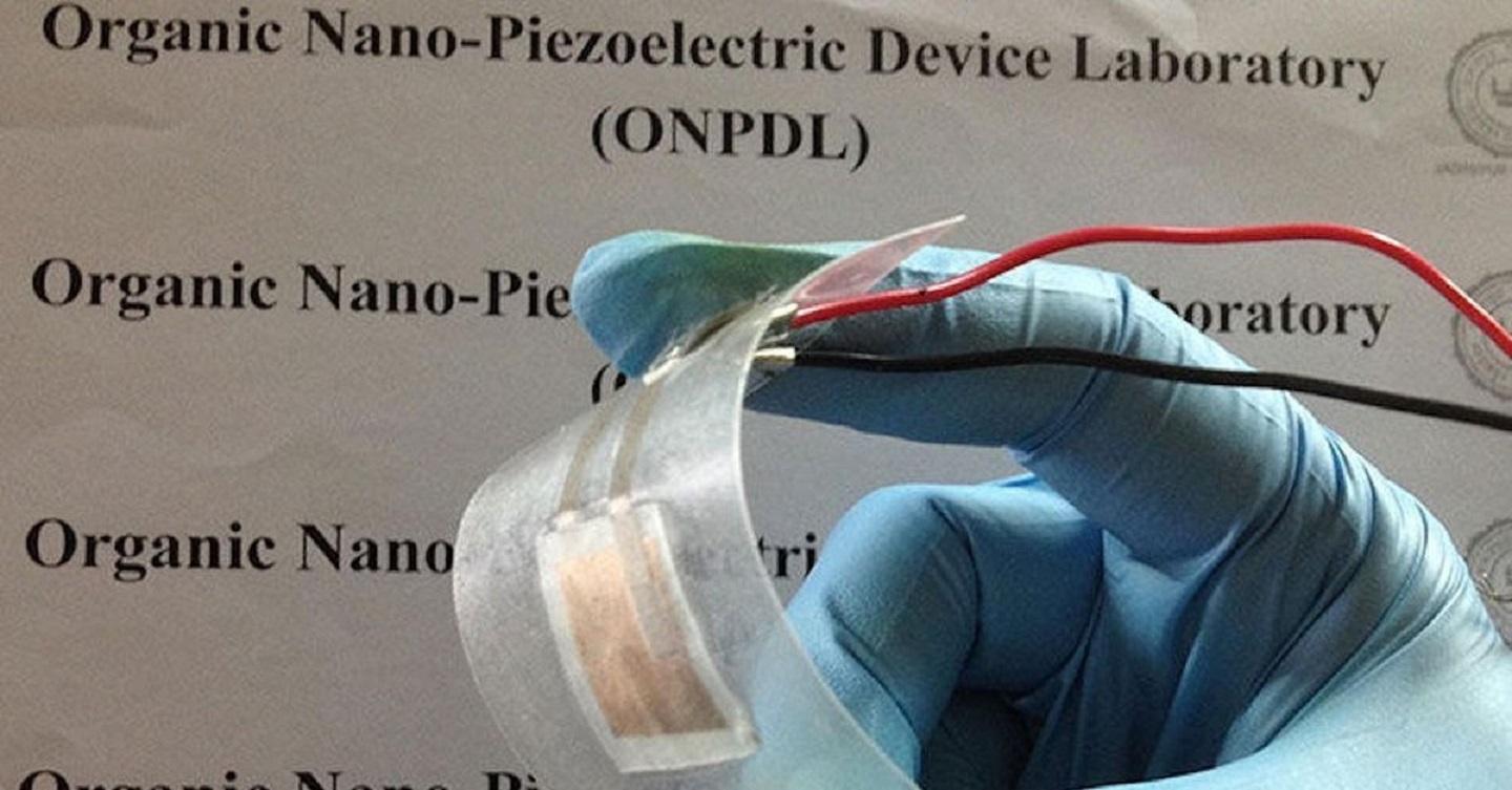 You can get energy from the fish escales