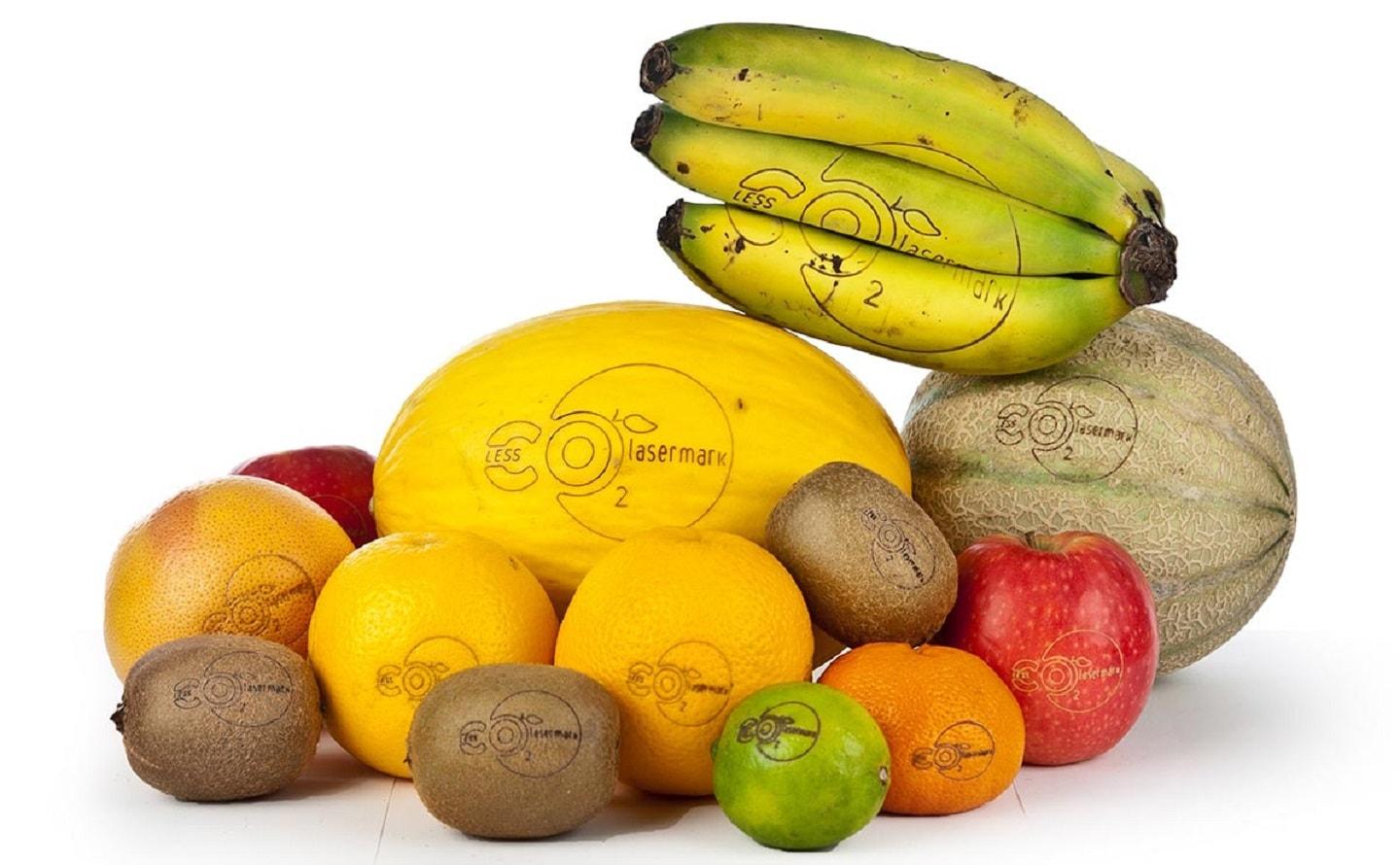 Either the brand or something else can be tattoed