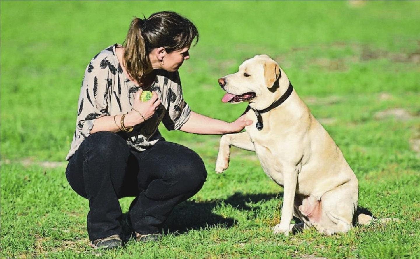 Dogs can sniff out lung cancer