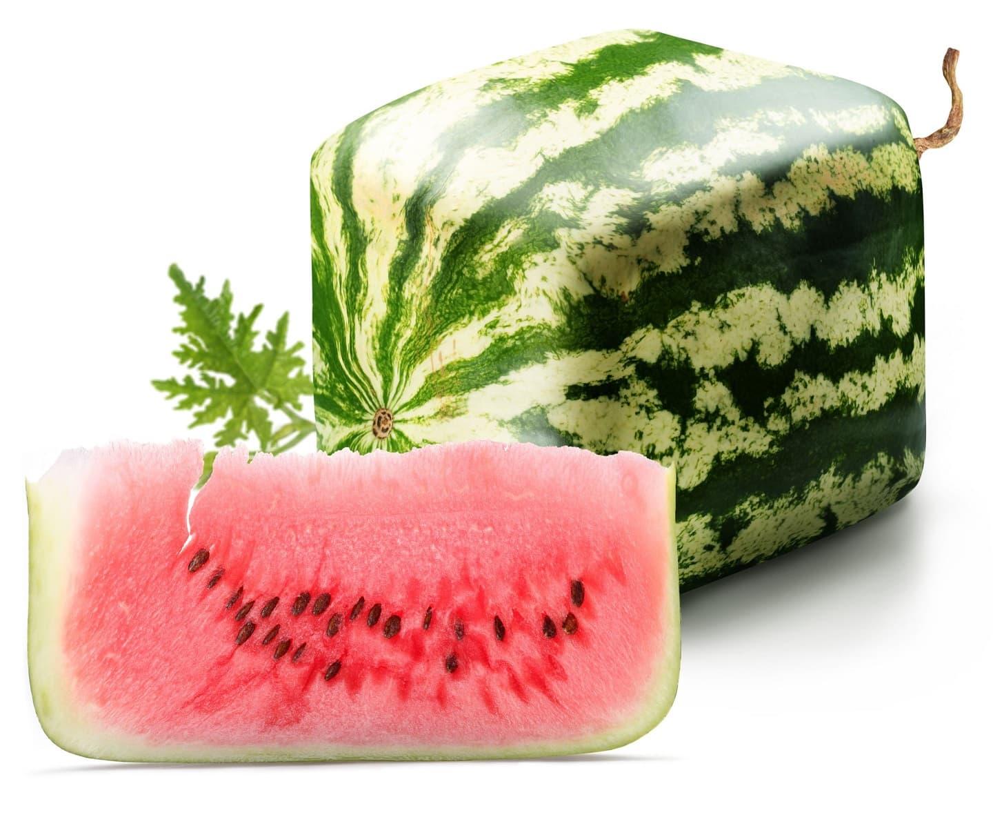 Square watermelons slice