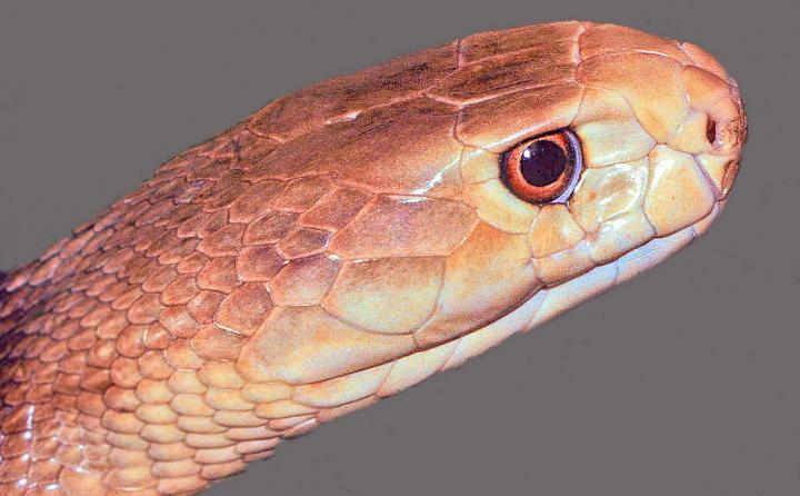 Imágenes y vídeos Imágenes y vídeos